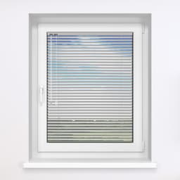 Silver Gloss 211