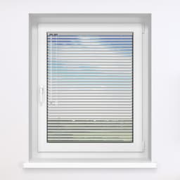 Silver Gloss 168