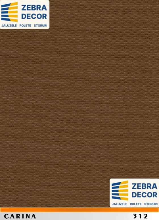 Carina 312