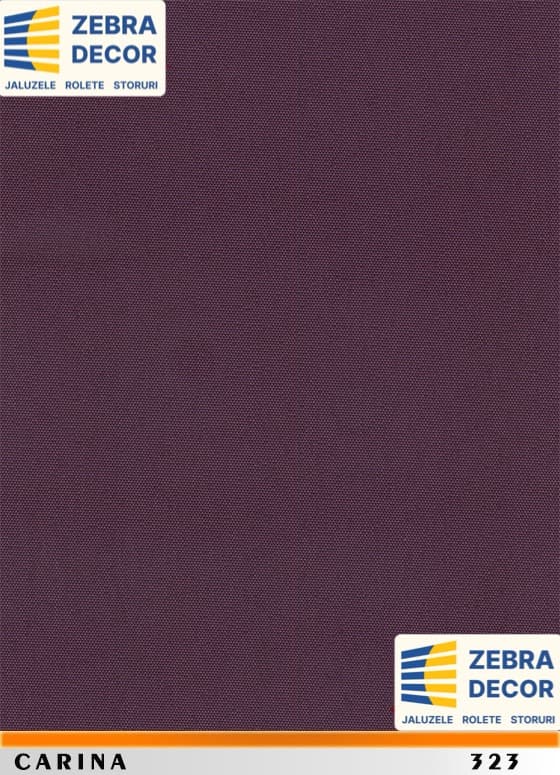 Carina 323