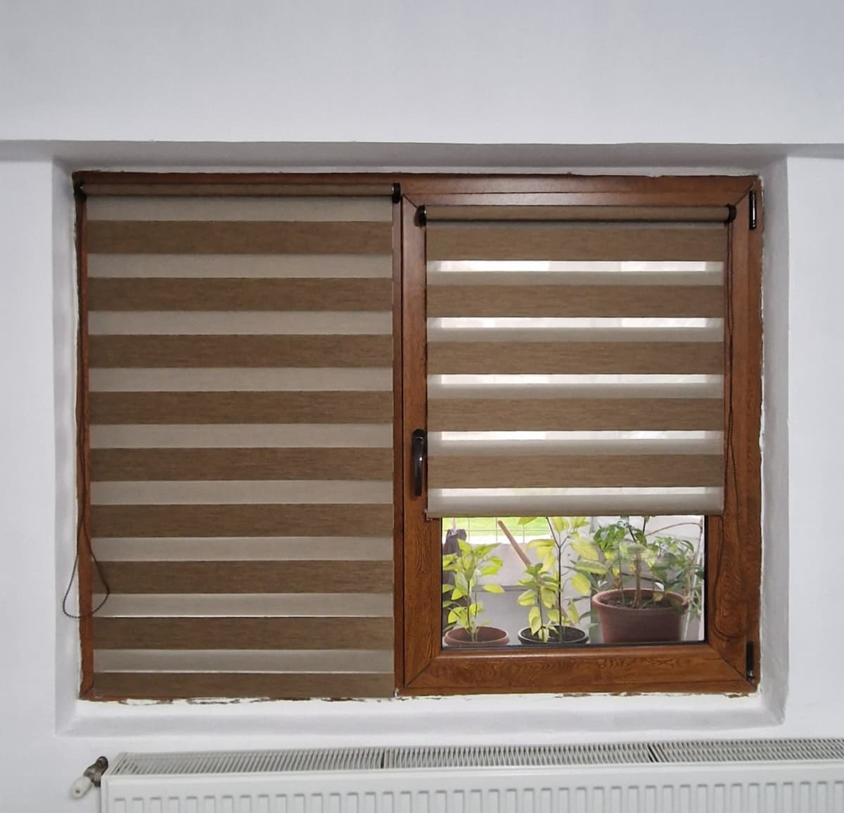 Wood BH-2907