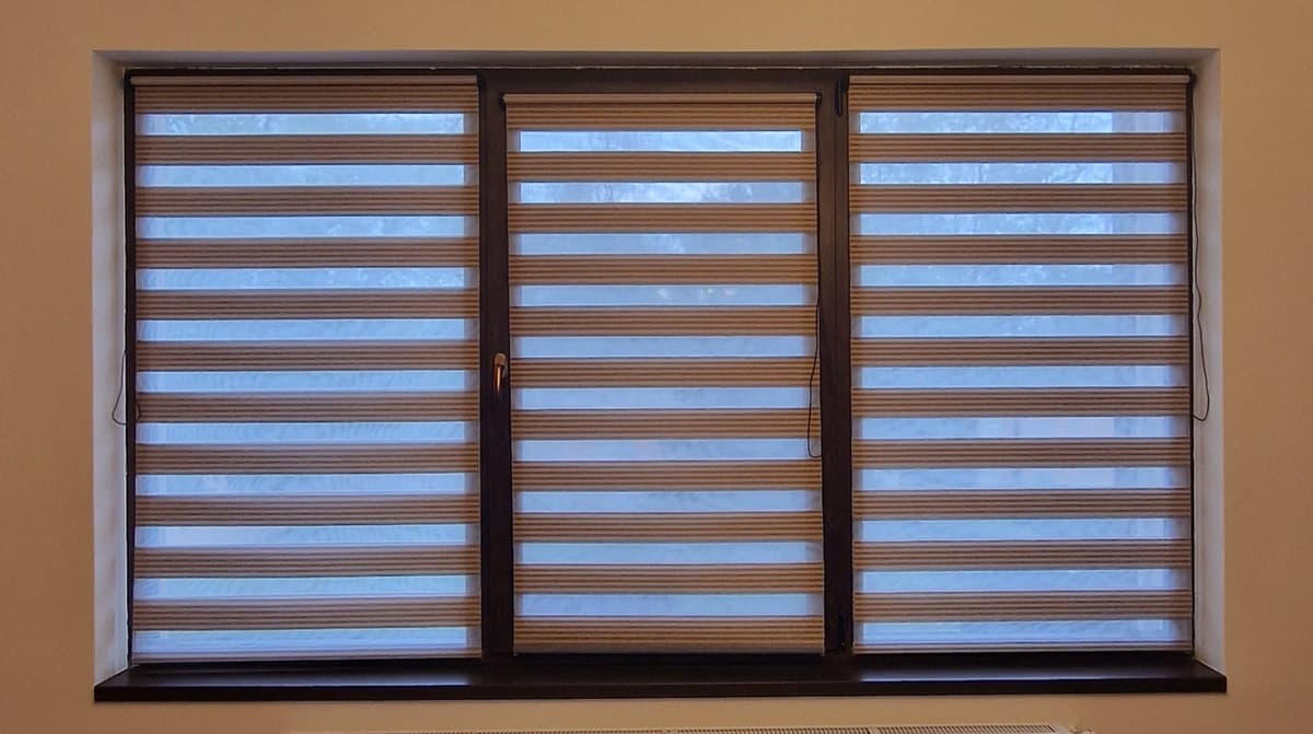 Bicolor Maro-Bej BH-2806