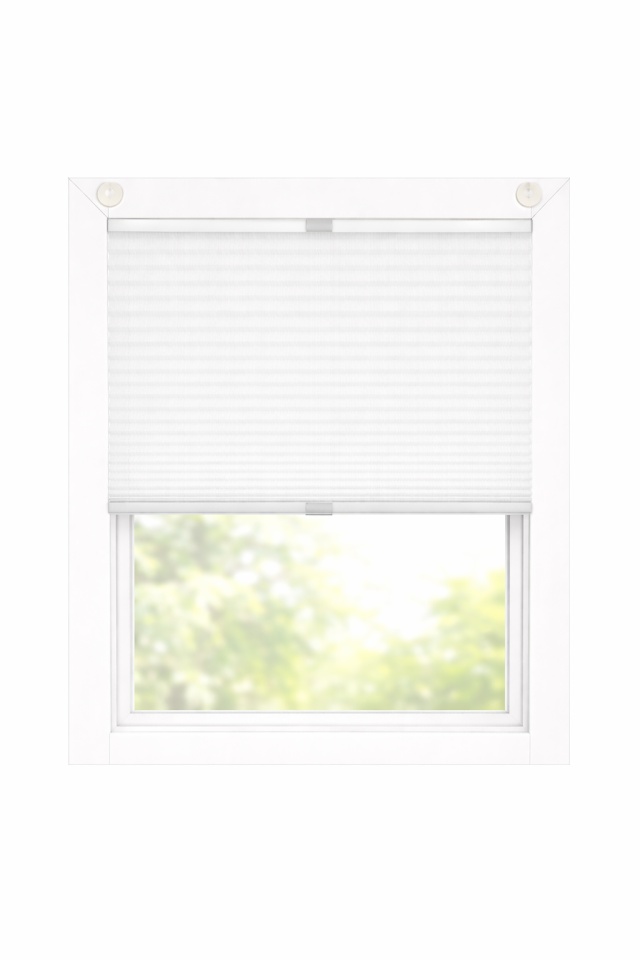 Plisse Semitransparente