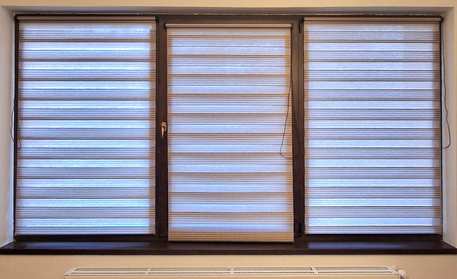 Bicolor Maro-Alb BH-2804