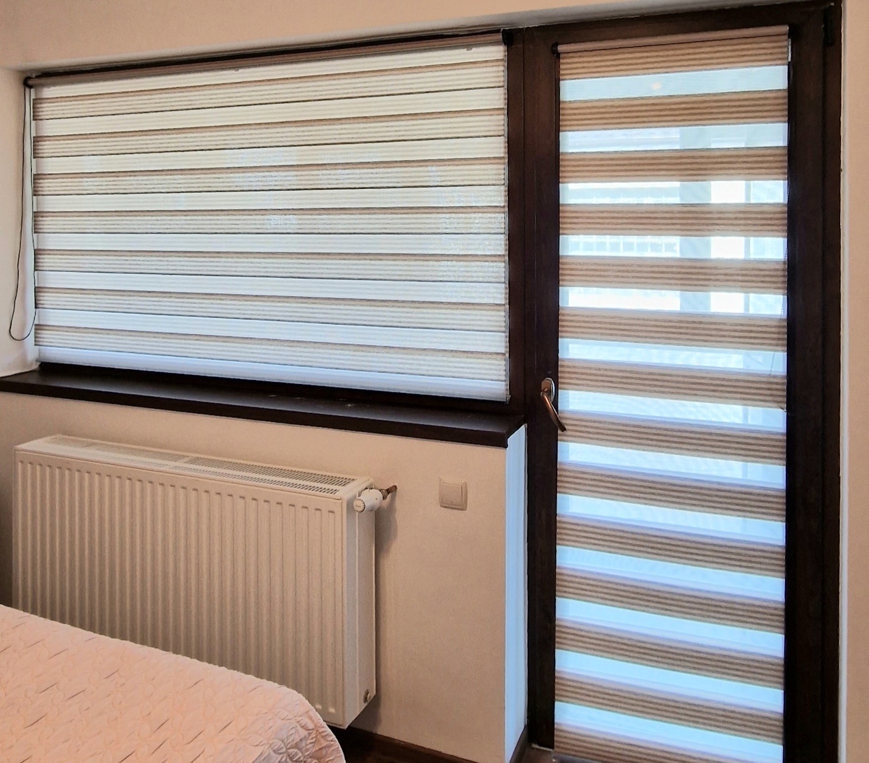 Bicolor Maro-Alb BH-2804