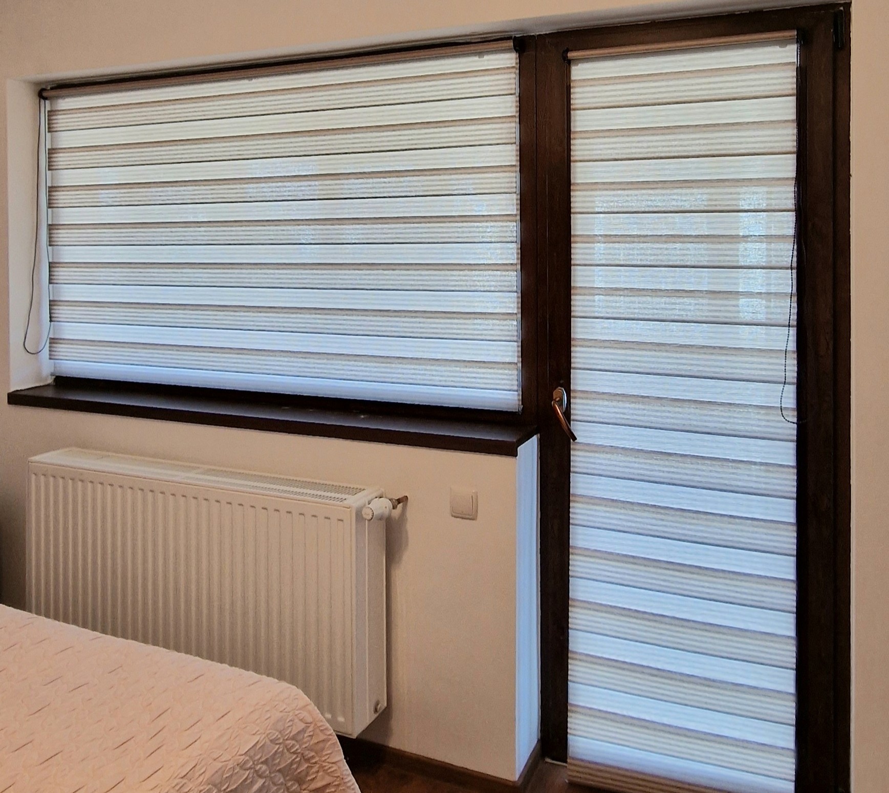 Bicolor Maro-Alb BH-2804