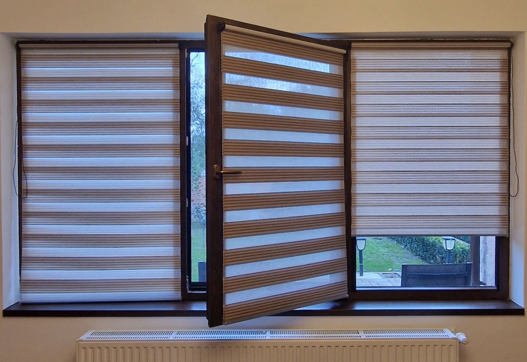 Bicolor Maro-Bej BH-2806