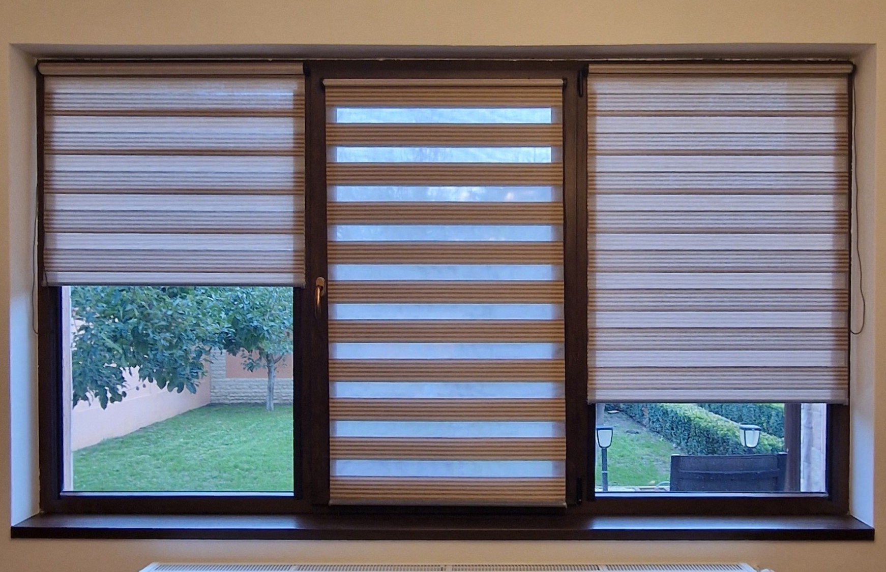 Bicolor Maro-Bej BH-2806