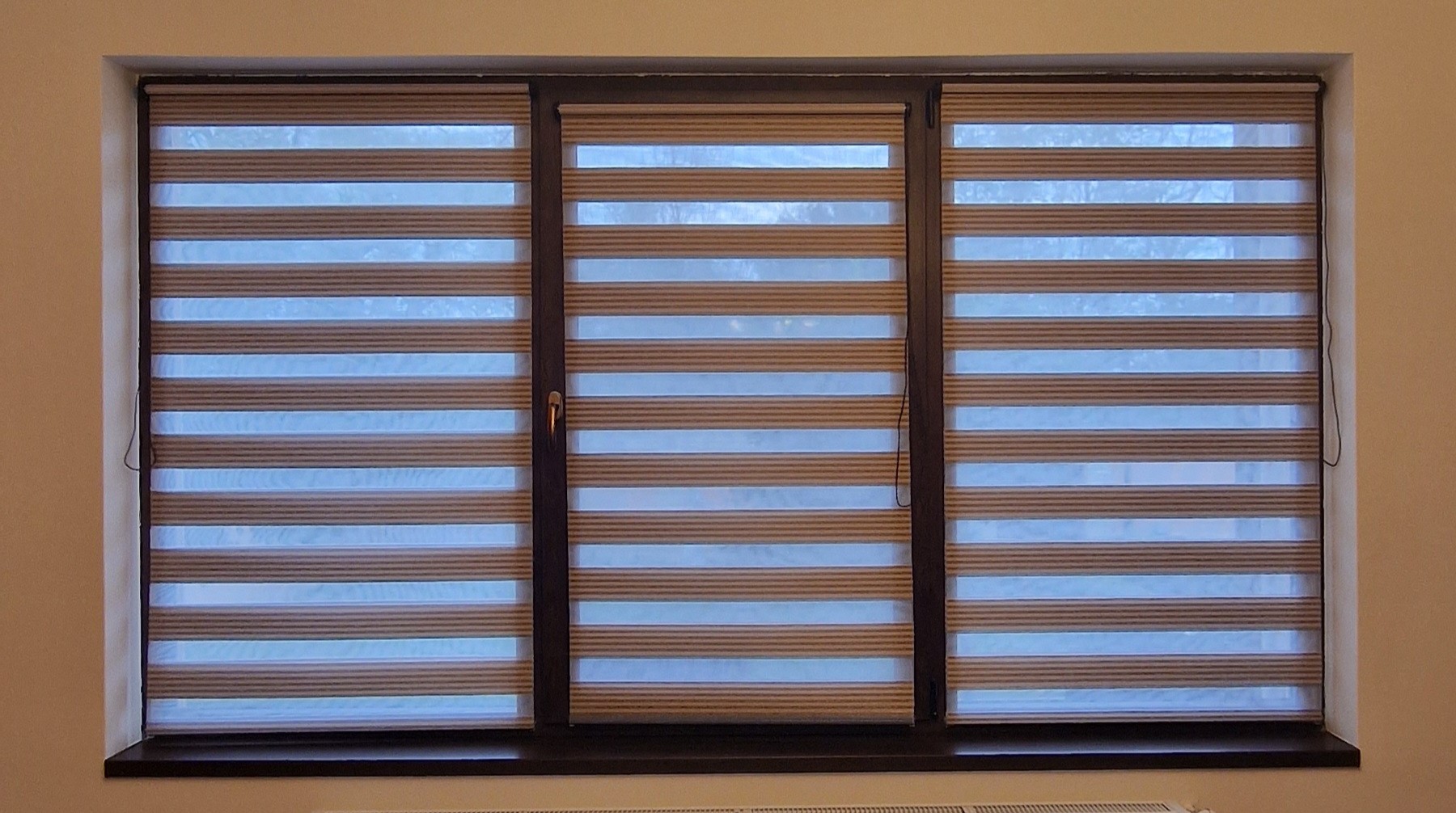 Bicolor Maro-Bej BH-2806