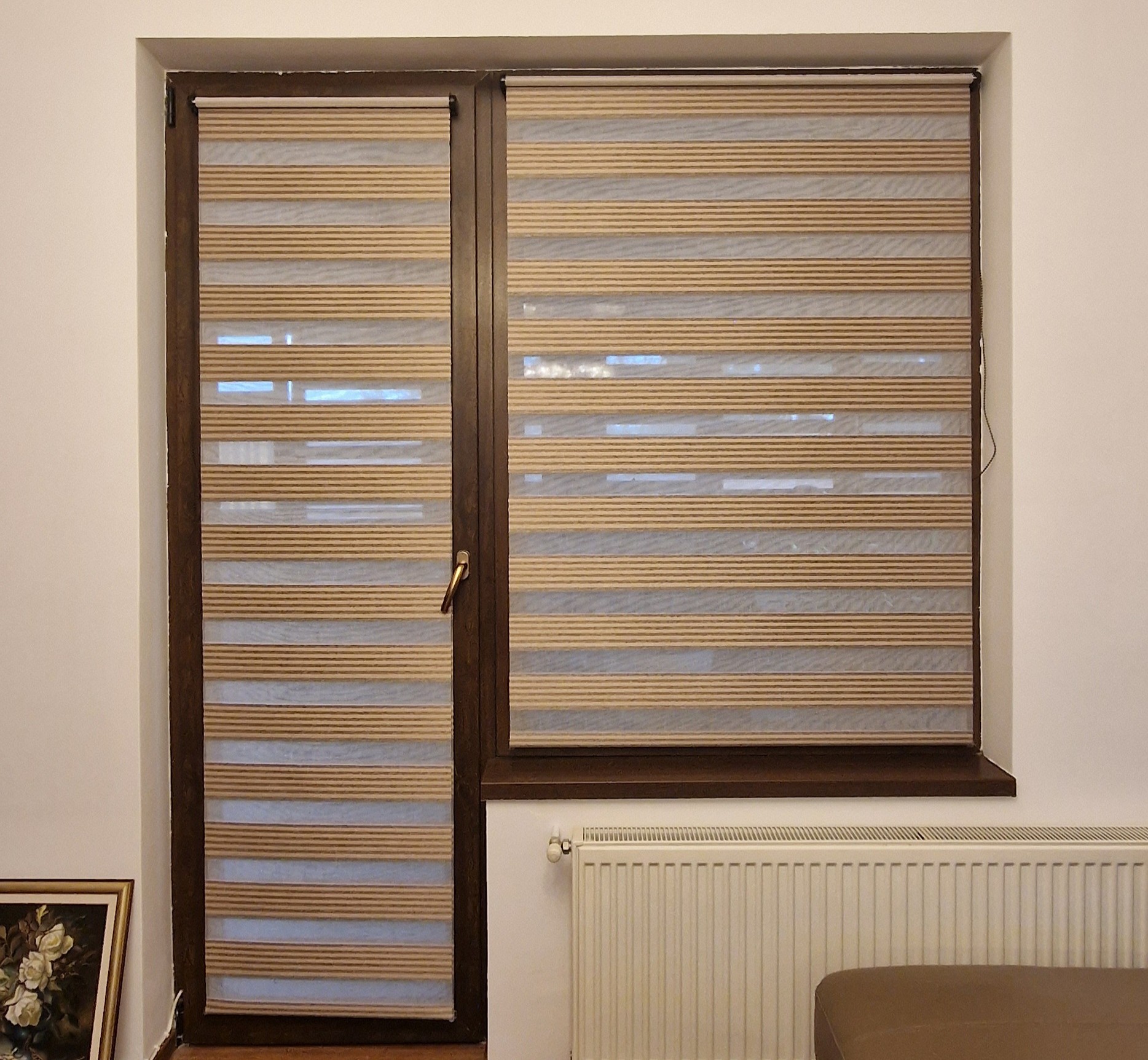 Bicolor Maro-Bej BH-2806