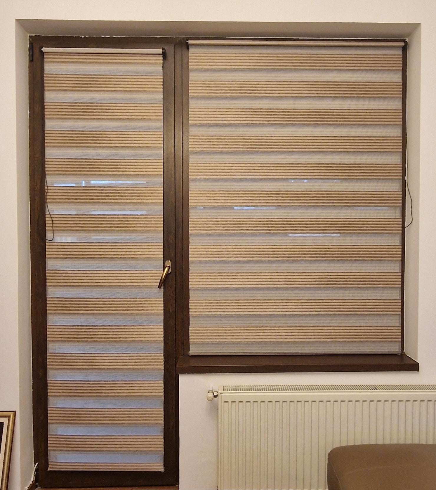 Bicolor Maro-Bej BH-2806