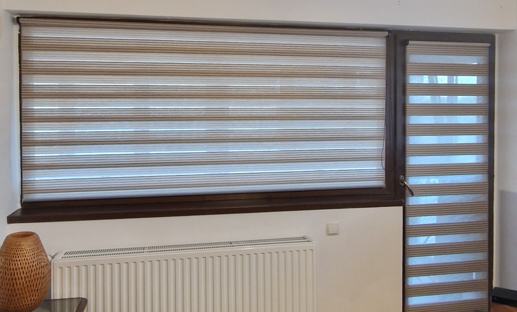 Bicolor Maro-Bej BH-2806