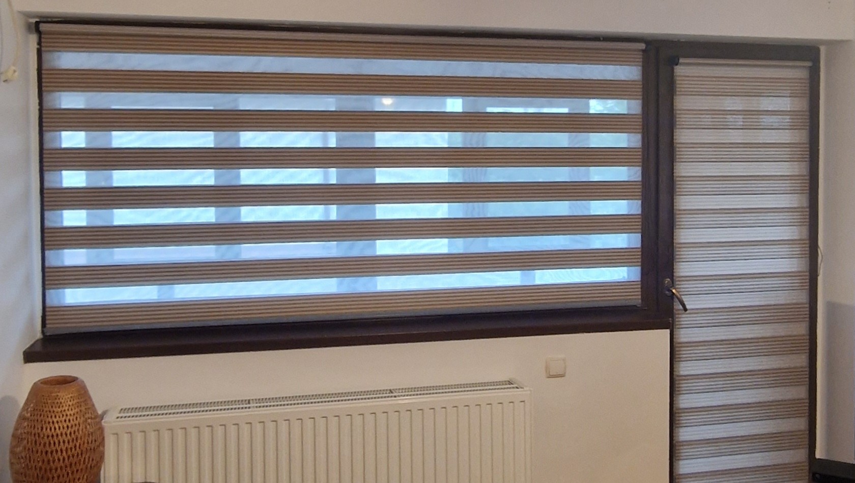 Bicolor Maro-Bej BH-2806